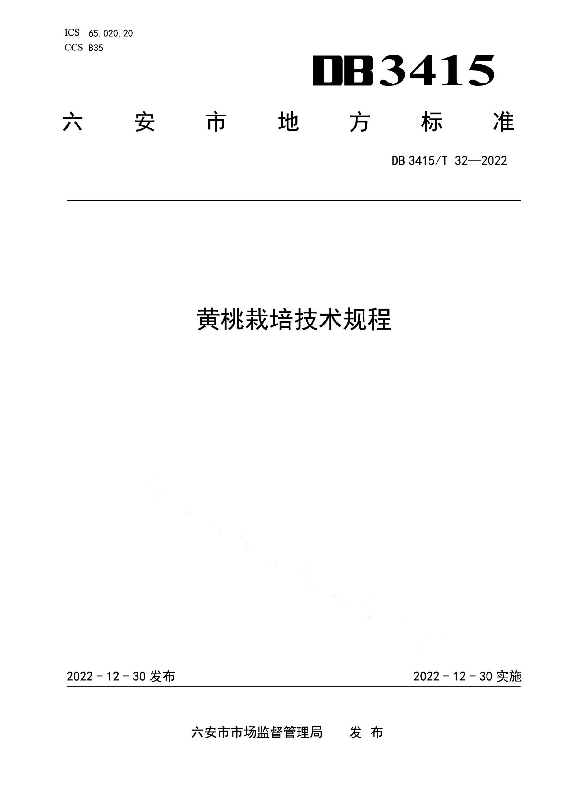 资源详情图